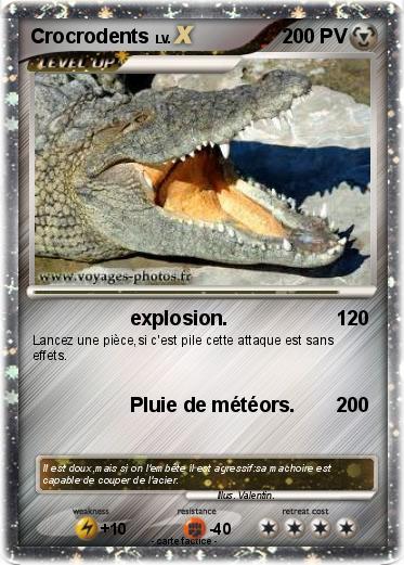 Pokemon Crocrodents