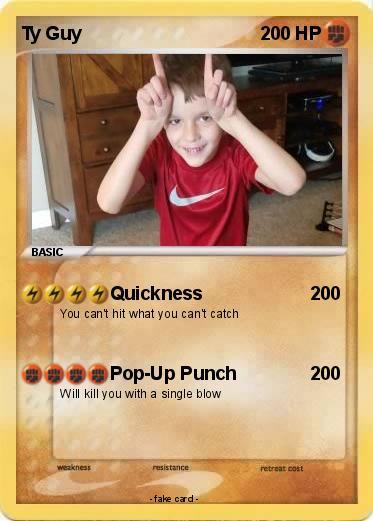 Pokemon Ty Guy