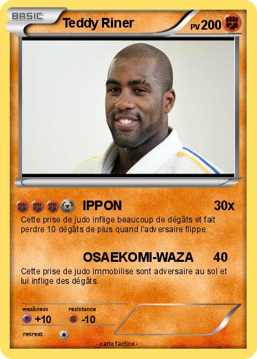 Pokemon Teddy Riner