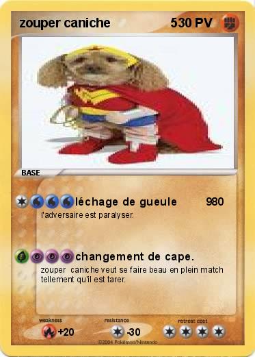 Pokemon zouper caniche                 5