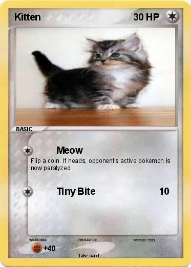 Pokemon Kitten
