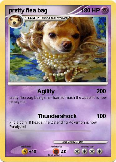 Pokemon pretty flea bag