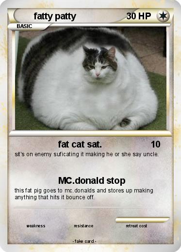 Pokemon fatty patty