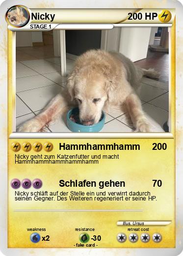 Pokemon Nicky