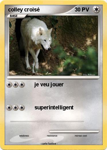 Pokemon colley croisé