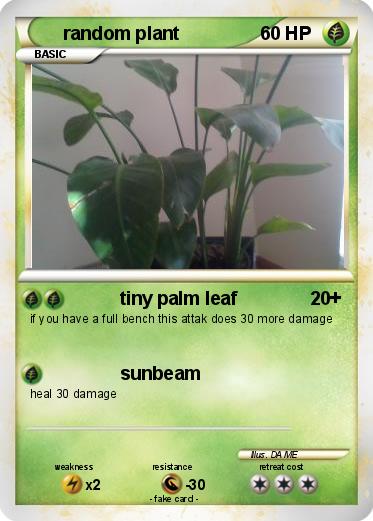 Pokemon random plant