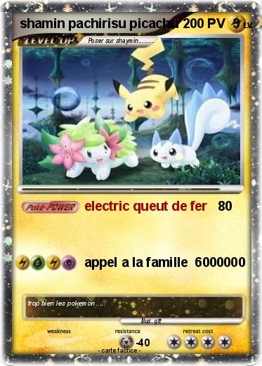 Pokemon shamin pachirisu picachu               3