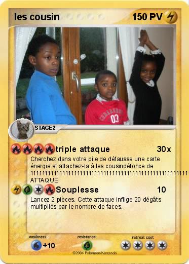 Pokemon les cousin 