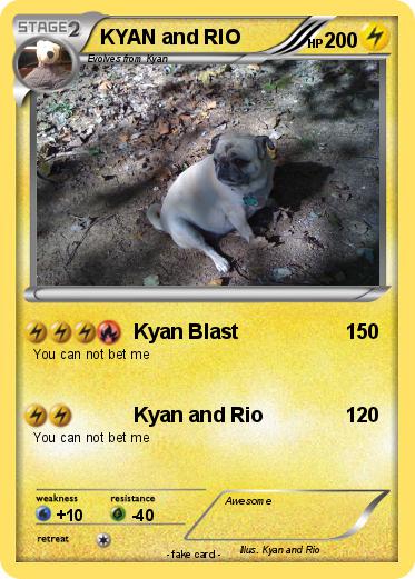Pokemon KYAN and RIO