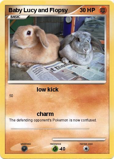 Pokemon Baby Lucy and Flopsy