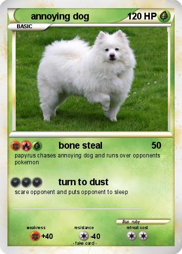 Pokemon annoying dog