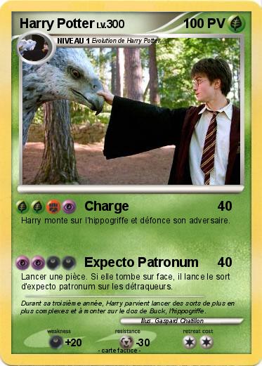 Pokemon Harry Potter