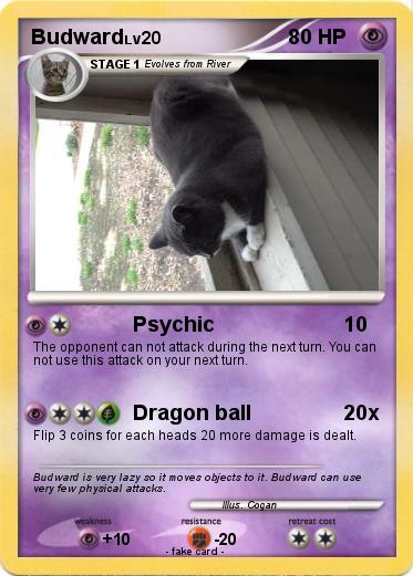 Pokemon Budward