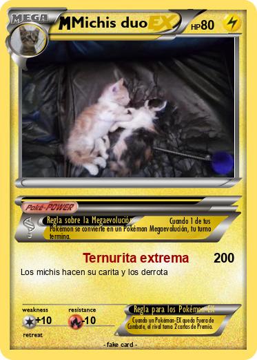 Pokemon Michis duo