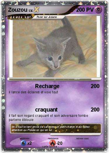Pokemon Zouzou