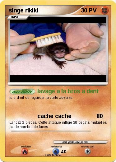 Pokemon singe rikiki