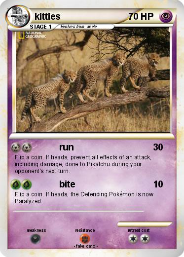 Pokemon kitties