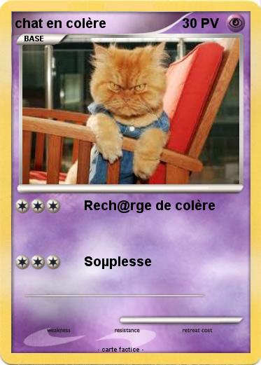 Pokemon chat en colère