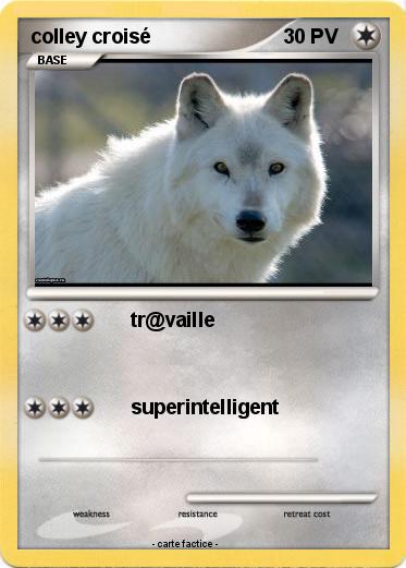 Pokemon colley croisé