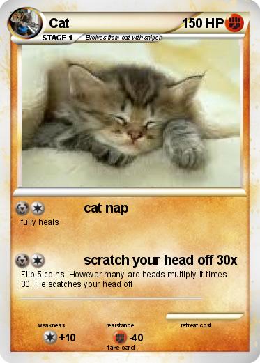 Pokemon Cat