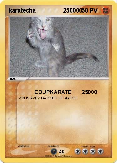 Pokemon karatecha                 250000