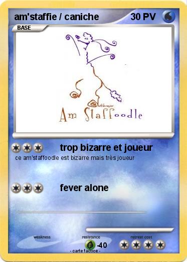 Pokemon am'staffie / caniche