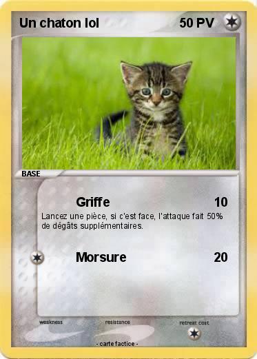 Pokemon Un chaton lol