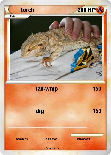 Pokemon torch
