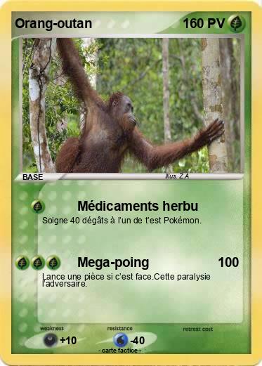 Pokemon Orang-outan