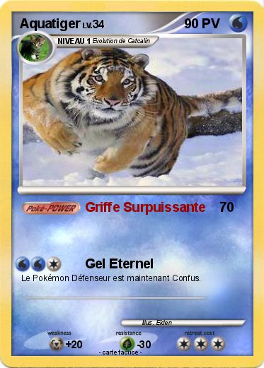 Pokemon Aquatiger