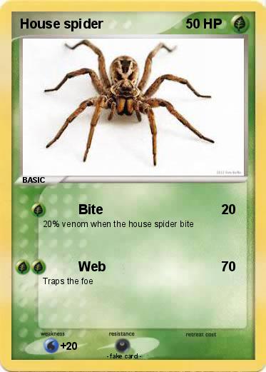 Pokemon House spider