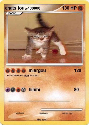 Pokemon chats fou