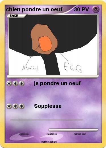 Pokemon chien pondre un oeuf