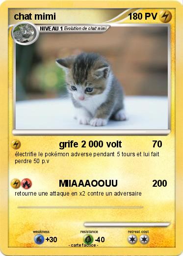Pokemon chat mimi