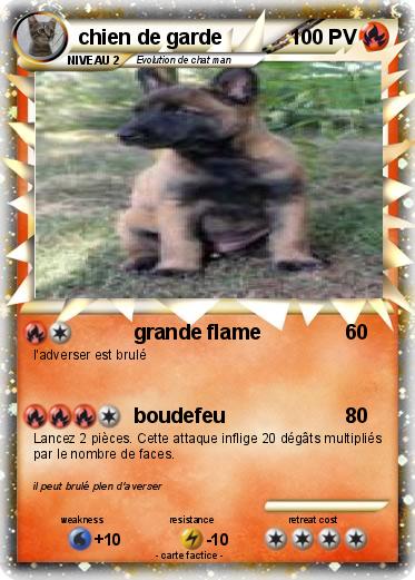 Pokemon chien de garde