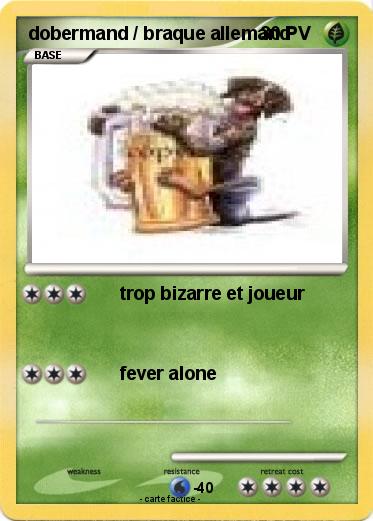 Pokemon dobermand / braque allemand