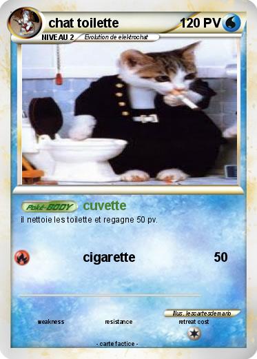 Pokemon chat toilette