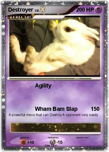 Pokemon Destroyer