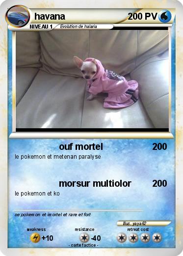 Pokemon havana