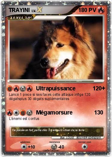 Pokemon TRAYINI