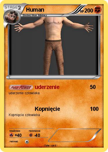 Pokemon Human