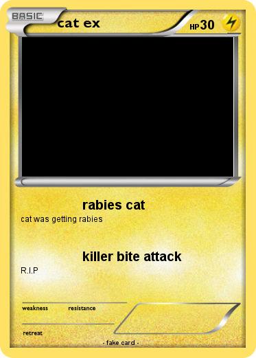 Pokemon cat ex