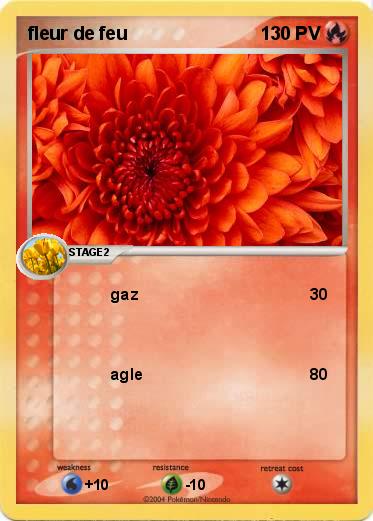 Pokemon fleur de feu