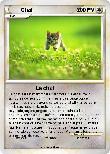 Pokemon Chat