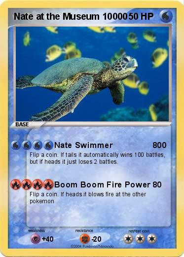 Pokemon Nate at the Museum 10000