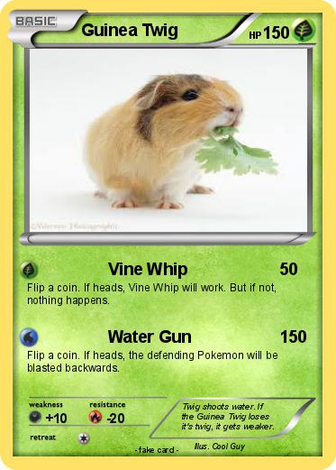 Pokemon Guinea Twig