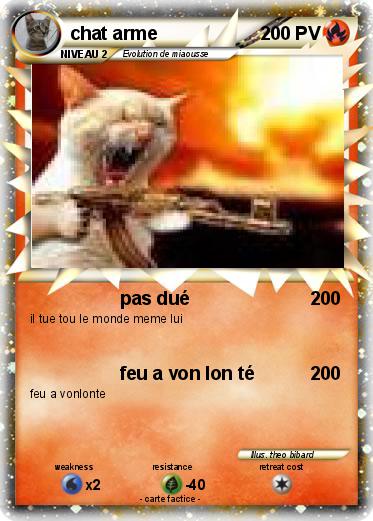 Pokemon chat arme