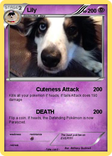 Pokemon Lily