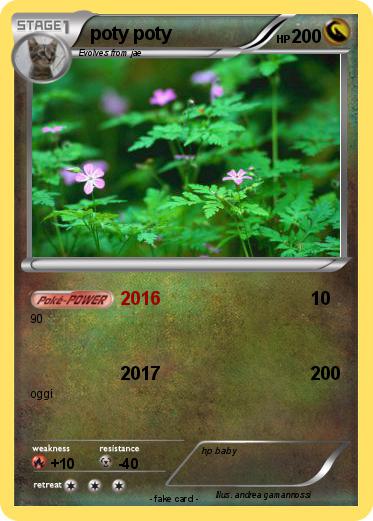 Pokemon poty poty
