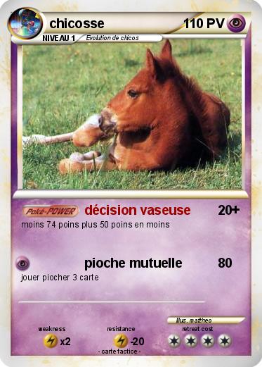 Pokemon chicosse